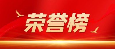 南岸区人大代表贡献榜单发布  集团董事、总经理黄怡霖上榜